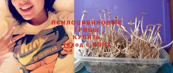 а пвп мука Михайловск