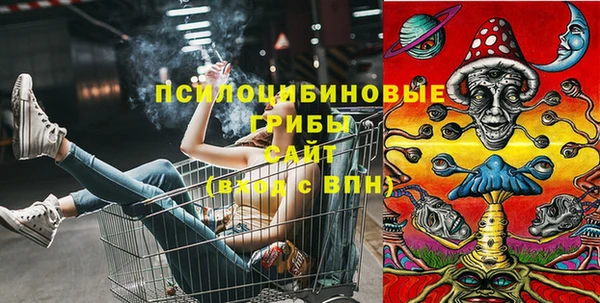 МДМА Белокуриха