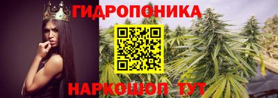 трава Гусиноозёрск