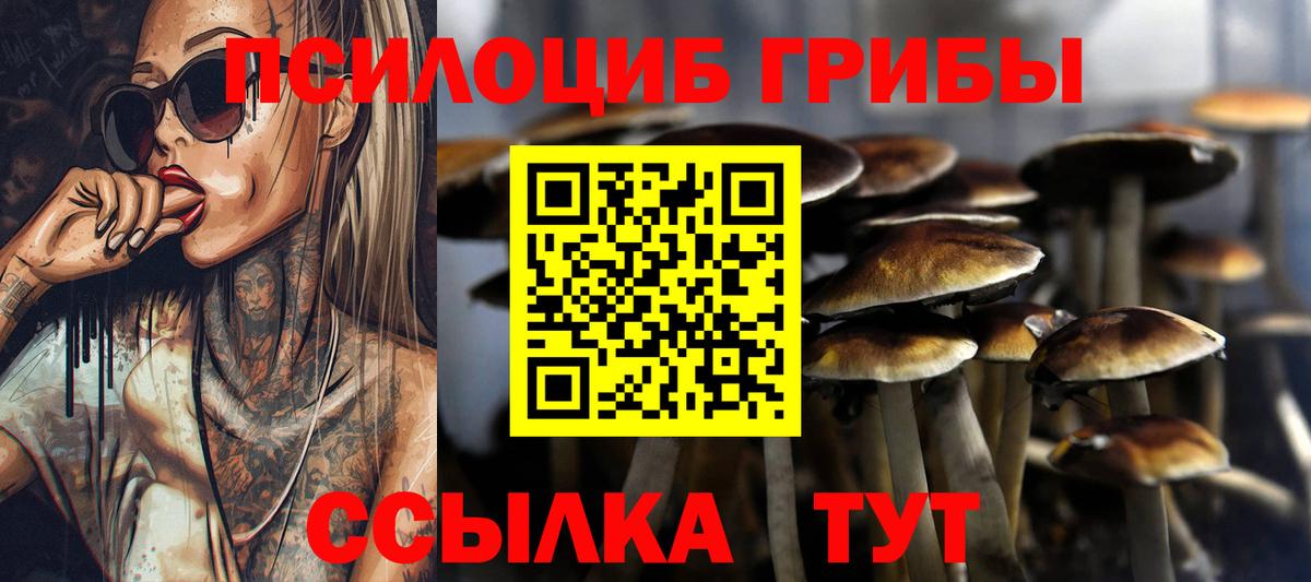 Галлюциногенные грибы Psilocybine cubensis  Иваново 