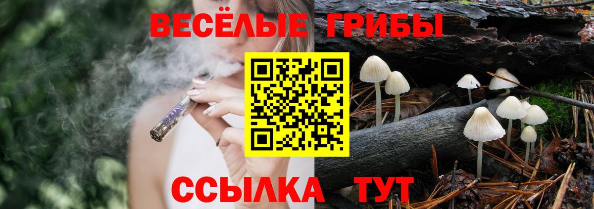 Псилоцибиновые грибы мицелий Иваново